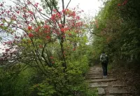 Qimen County Yunhuiju Hotel Các khách sạn ở Kỳ Môn