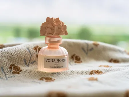 Meet Torgrencia tent camp Отели в г. Ташкурган