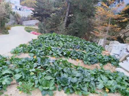 Xin'anping Homestay Отели рядом с достопримечательностью «Miaodao Mountain»