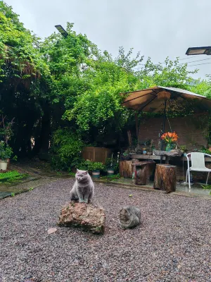 Xiongxiong Tribe Homestay - Mountain view