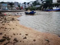 溫嶺昕辰大涵·日出海景親子度假美宿（石塘隔海山島店） - 海滩