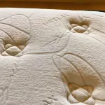 Shanshui Yunjin Homestay