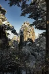 Changfeng Hostel (Huangshan Scenic Area South Gate) - homestay