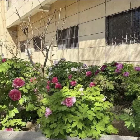 Mudan Hotel