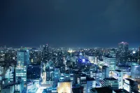 大阪日航酒店 - 浪漫/情侶