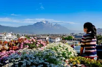 Lijiang is gone Snow Mountain View House