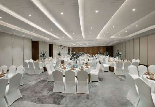 3. 그랜드 배로니 ..