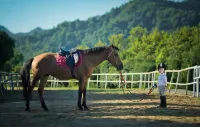 Houtang Holiday Manor - Historic Hotels