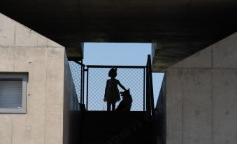 Kennels Pet-Friendly Hotel