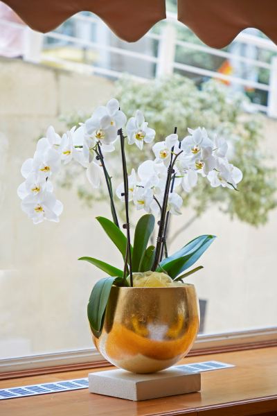 共有エリア ブリストル ホテル オパティアの写真