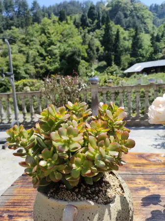 Chongqing Ordovician Fanduyan Stack Отели рядом с достопримечательностью «Banliao Lake»