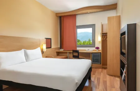 Ibis Bursa