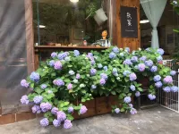 Qiuqiu Homestay Hotels in Lvxin Park/University City