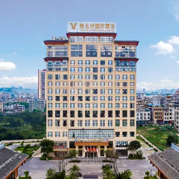Vienna International Hotel (Ningming Huashan)
