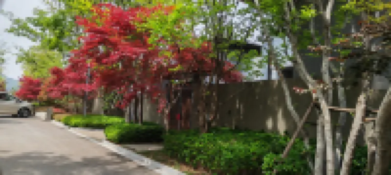 Yingying Mountain House B&B