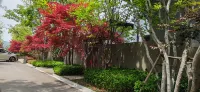 Yingying Mountain House B&B Hotels in Xinmi