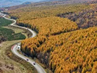 No. 8 Garden Holiday Villa