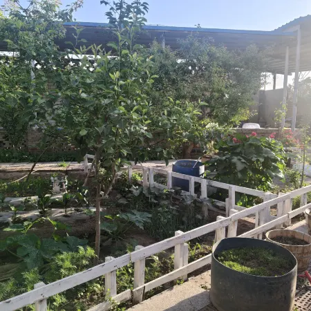 Turpan Zhixia Homestay