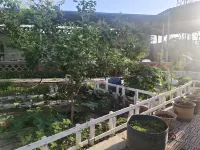 Turpan Zhixia Homestay