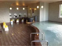 Tabist Yuasa Castle Onsen Hotel - con terme