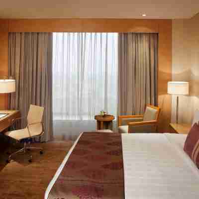 新德里德瓦卡麗笙飯店 Rooms