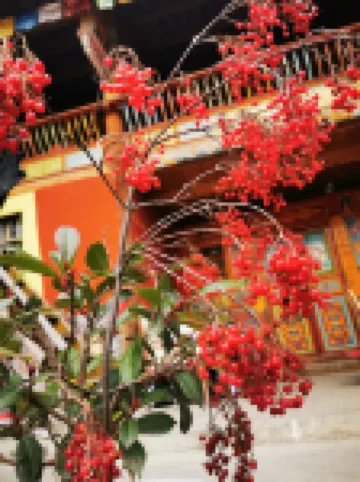 Jiuzhaigou happy sunshine home stay โรงแรมใกล้Jiuzhai Beautiful China Resort