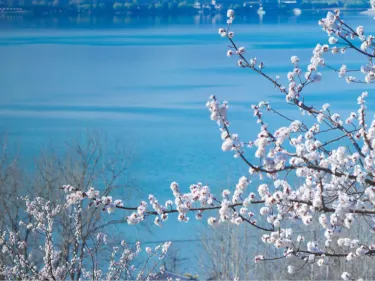 Teacher Joannie Recreational Park