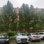 Gaoyang Business Friends Hotel Hotels in Gaoyang