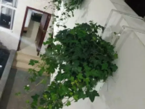 Jiahao Hotel Hotels in Luquan