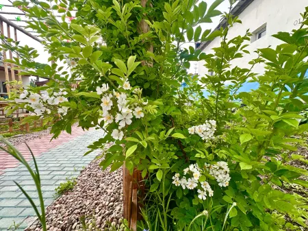 Kuerdeningzheng Отели рядом с достопримечательностью «Kurding Tourism and Cultural Museum»