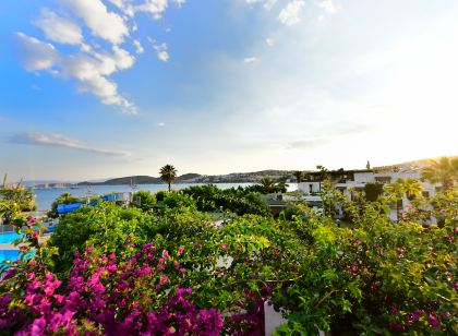 Parkim Ayaz Hotel