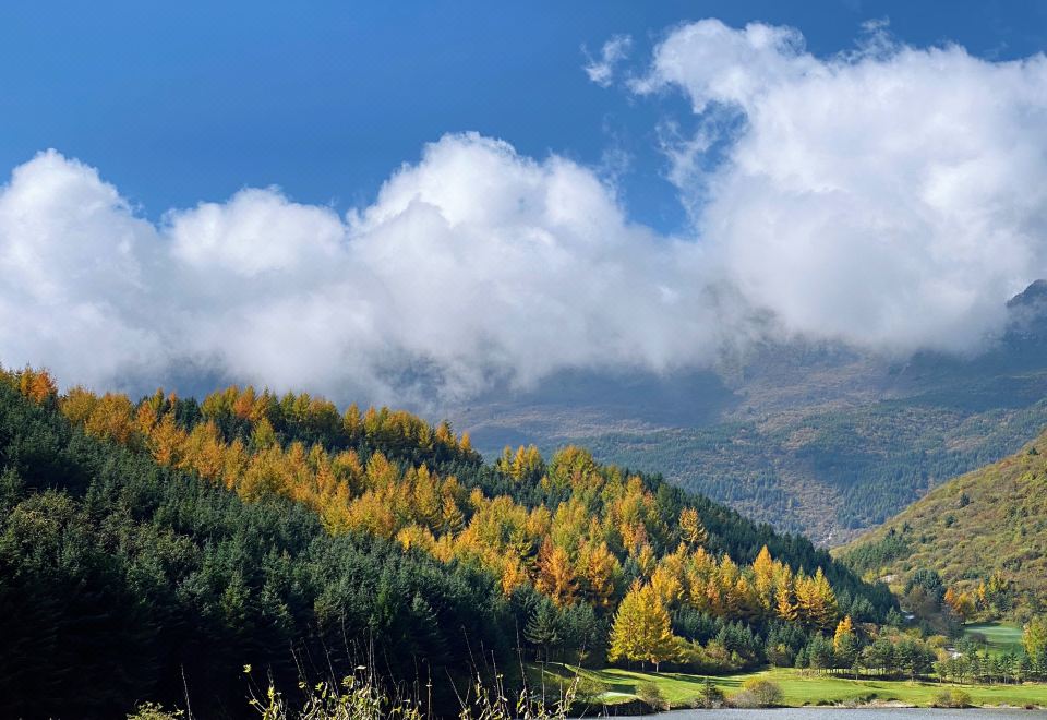 주자이거우 반얀트리 전경