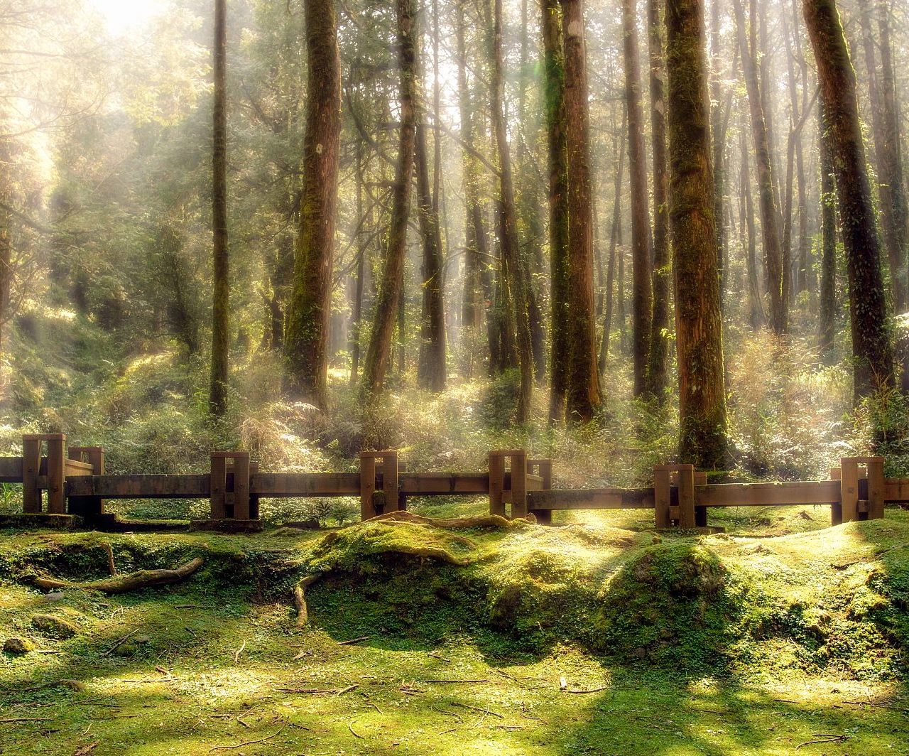 <h1>嘉義縣彩虹夜市附近住宿飯店推薦</h1>