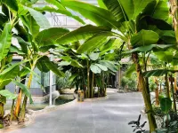 Kuitun Hotel Hotels in Kuytun