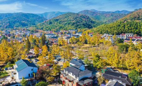 Suitetrails - Changxing Yinlin Homestay