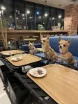 ICI HOTEL Asakusabashi