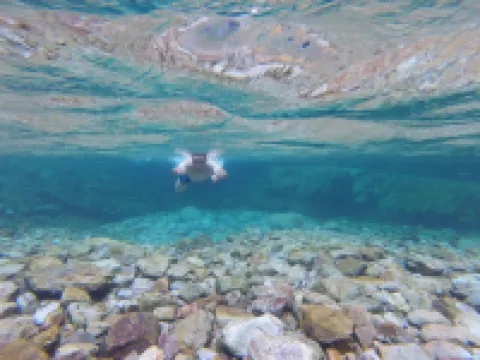 The Heart of the Mountains Jiaxiuyan Homestay