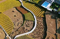 HeChu B&B Hotels in Xingyi