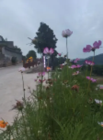 Shaoshan Daoxiang Chinese Inn