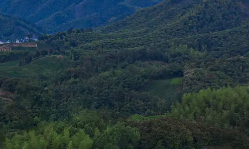 Anji Zheyunju Village Hot Spring Hotel