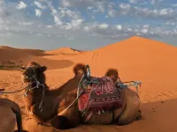 Manyan Star Tent Camping Base Hotels in Zhongwei