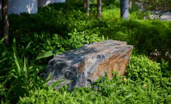 A small rock garden with green grass and bushes is surrounded by a large area at The Fullerton Ocean Park Hotel Hong Kong