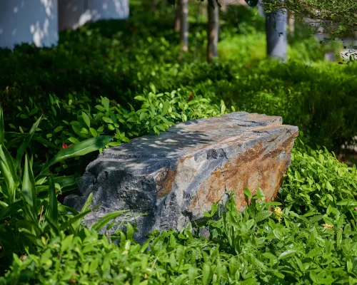 香港富麗敦海洋公園酒店 外觀 Photos