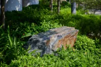 フラトンホテル 香港海洋公園 ザ・パルス周辺のホテル