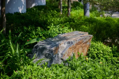 The Fullerton Ocean Park Hotel Hong Kong