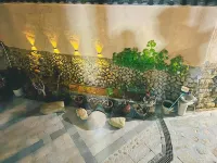 Yunhe Ting Shier Hao Courtyard Hotels near Changting Beach