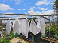 河源月島民宿 鄰近河源東站的酒店