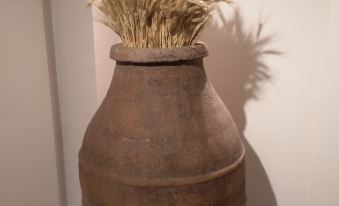 Beşiktaş Guest House