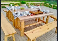 Baihaba Houjie Xiaoyuan Homestay Hotels in Habahe
