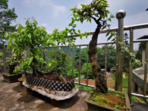Yi Xian Ju Inn